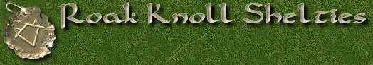 Roak Knoll Shelties